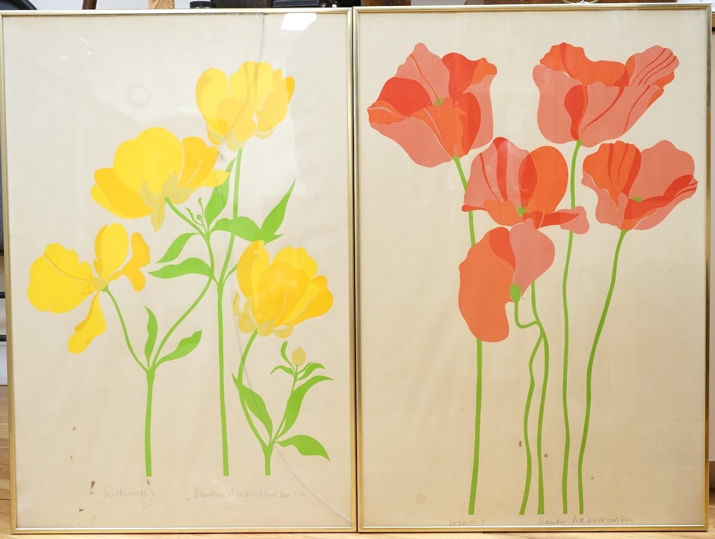 Danka Napiorkowska (b.1946), ‘Poppies 1’ and ‘Buttercups 2’, each signed in pencil, pair of silk screen prints, glass cracked to one, 75 x 49cm